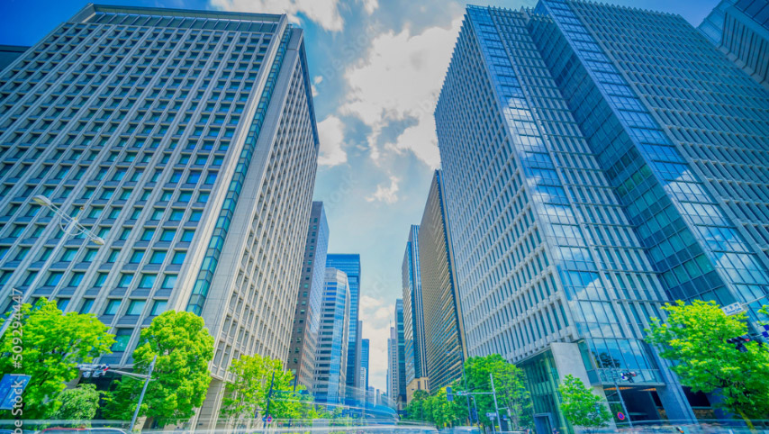 Company GloBraceの会社概要